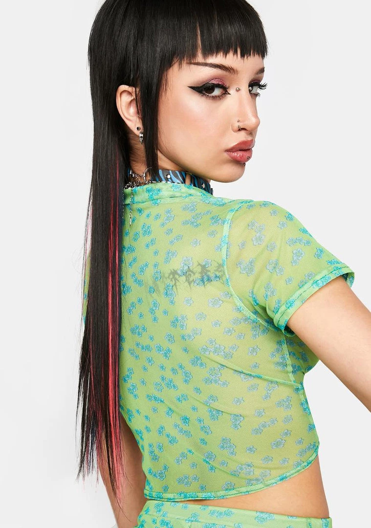 Daisy Street Floral Mesh Crop Top Sheer Crop Top