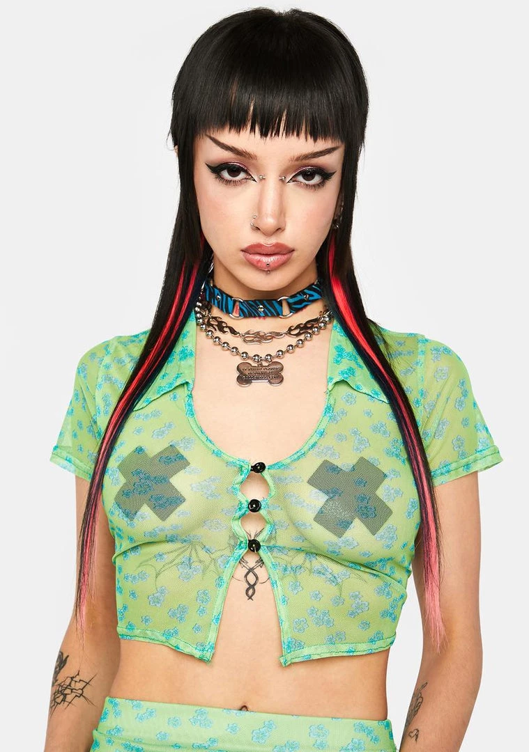 Daisy Street Floral Mesh Crop Top Sheer Crop Top