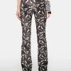 Daisy Street Becky Flare Pants